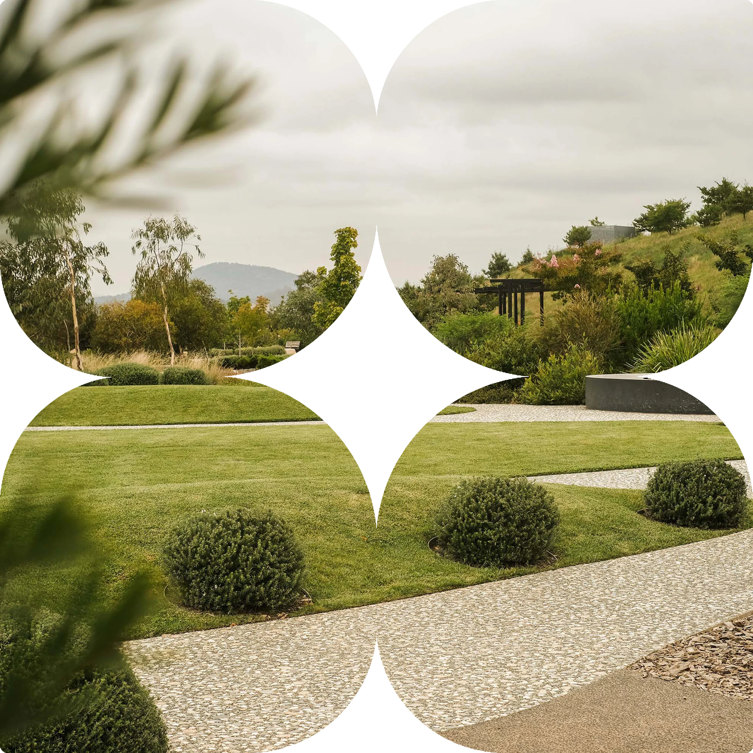 Professionally landscaped garden with manicured lawn, topiary and paved path, Melbourne west