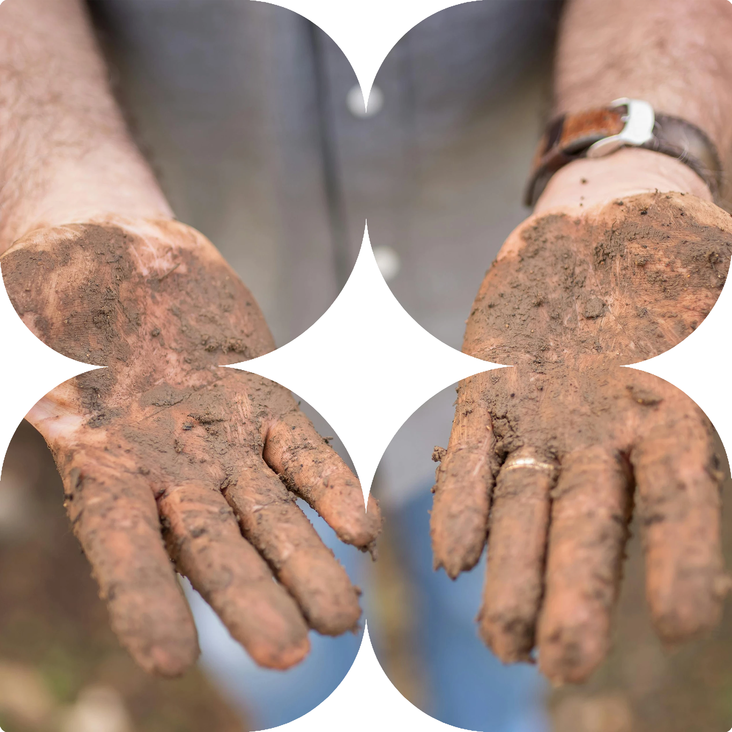 Experienced landscaper hands – 20 years of hands-on landscaping in Bacchus Marsh