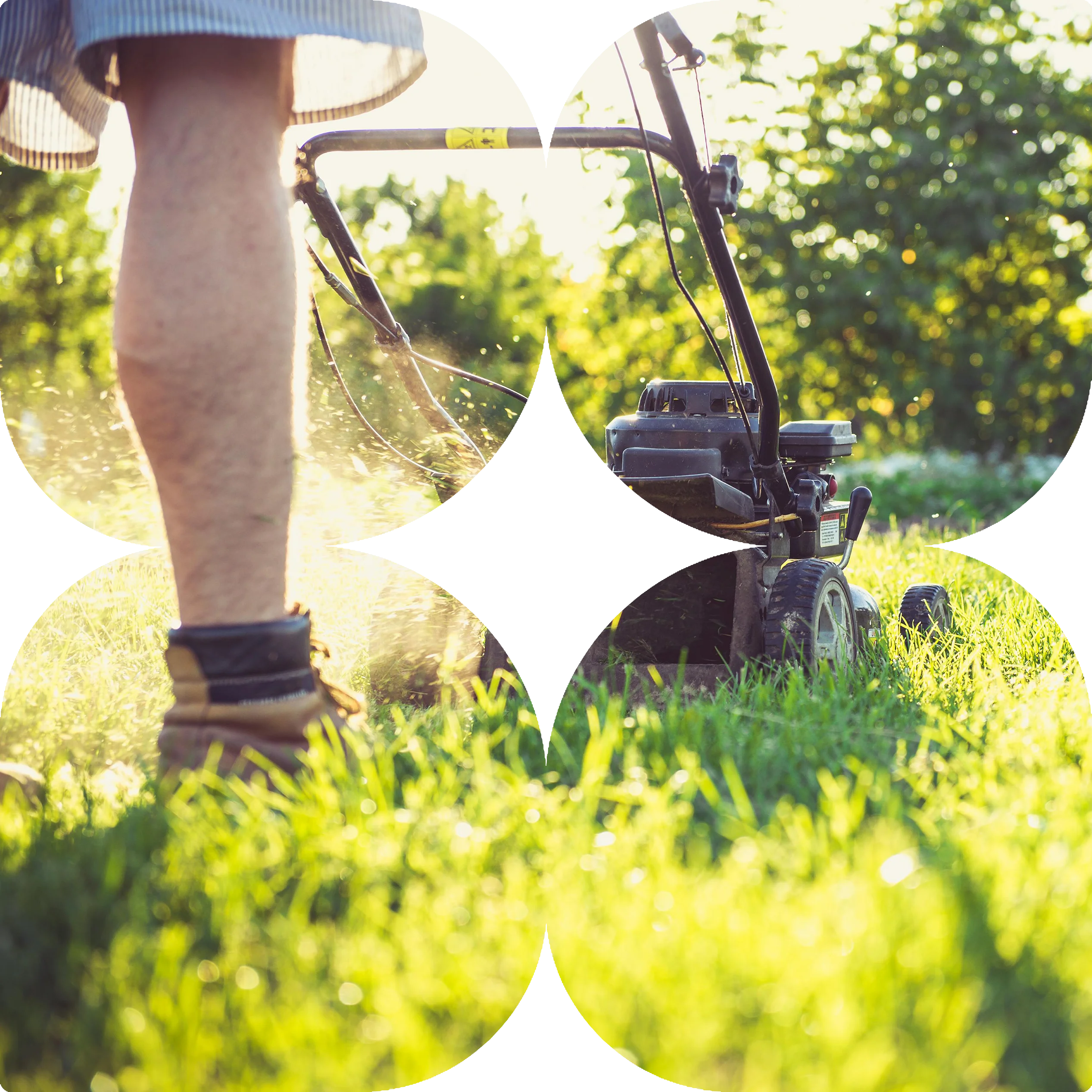 Lawn mowing service in Bacchus Marsh – regular turf care by CreationScapes