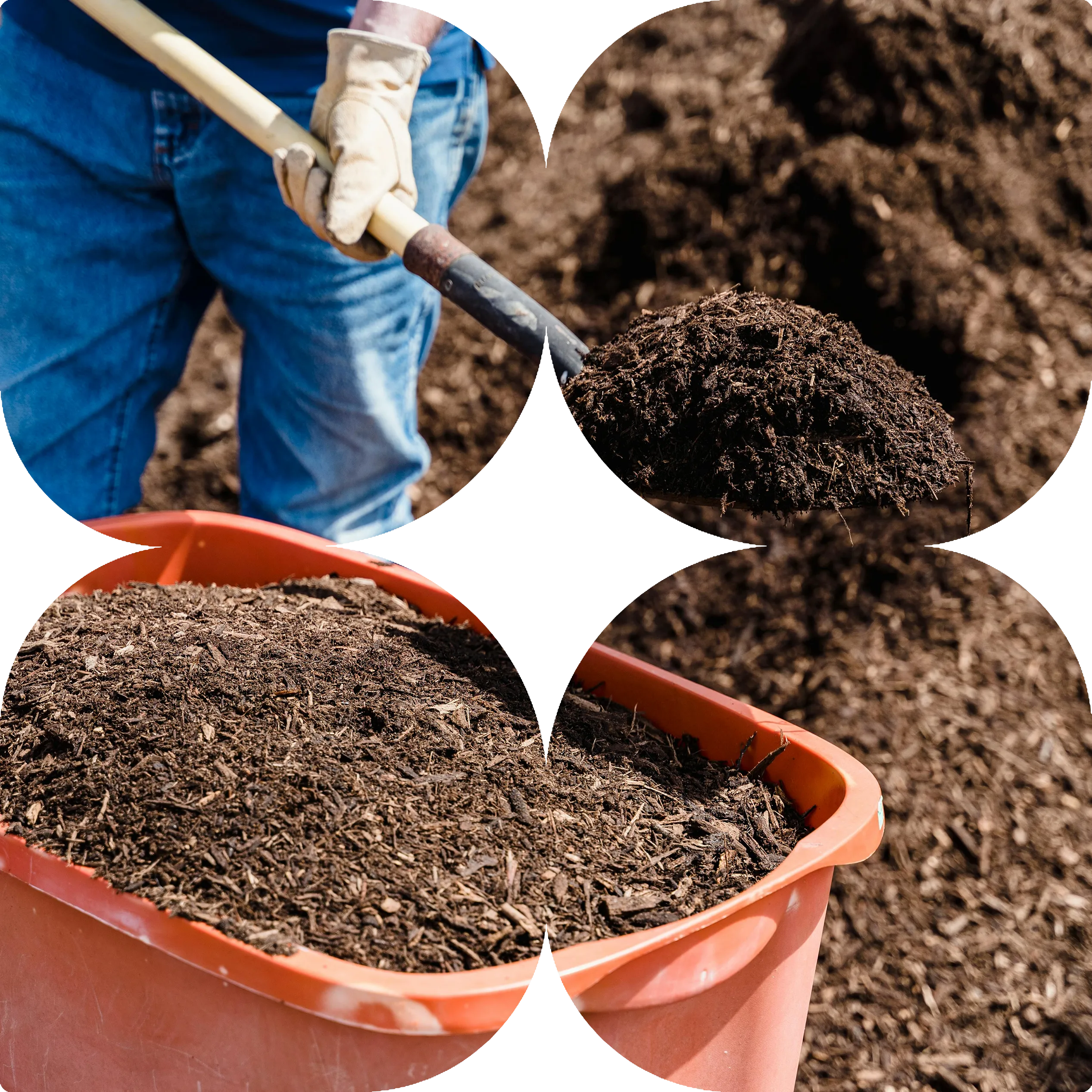Garden mulching and bed maintenance in Bacchus Marsh by CreationScapes