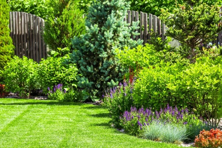 Landscaping project completed in Bacchus Marsh